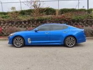 Sporty blue Ford Mustang showing off custom car tint from Tint Pro.
